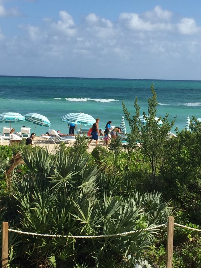 C1LCVH8XUAA64w9.jpg large